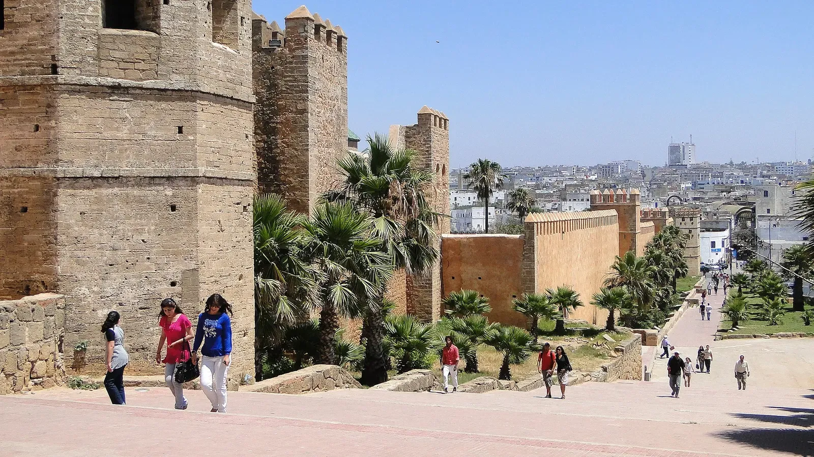 Morocco's Digital Strategy & the Road to an AI Economy